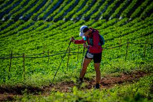 BIB: 
                            <button type="button" onclick="openModal(19161254)" class="btn btn-primary btn-sm float-right btn-popup" data-toggle="modal" data-target=".modal-high-quality">
                        <i class="fas fa-shopping-cart"></i> Add to Cart
                    </button>
                                            <button type="button" onclick="isThisMe(19161254, true)" class="btn btn-success btn-sm float-right btn-popup btn-isme hidden" data-toggle="tooltip" data-placement="bottom" title="นี่คือรูปของคุณใช่ไหม คลิกที่นี่เพื่อเอาเข้าอัลบั้ม">
                        <i class="fas fa-plus"></i> Add to album
                    </button>
                    <button type="button" onclick="isThisMe(19161254, false)" class="btn btn-warning btn-sm float-right btn-popup btn-isnotme hidden">
                        <i class="fas fa-ban"></i> Remove from album
                    </button>